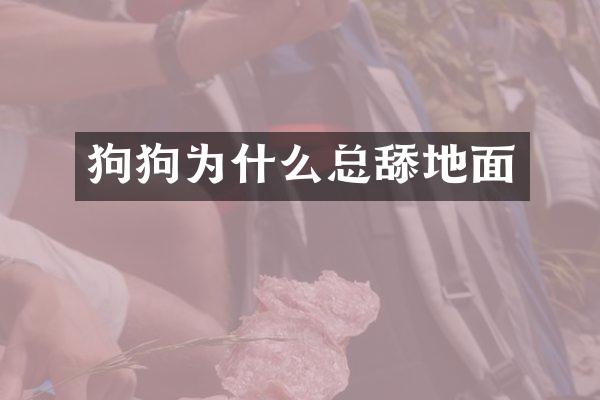 狗狗为什么总舔地面