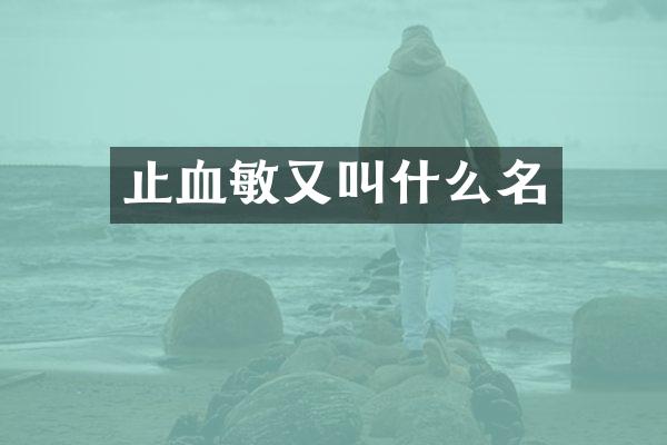 止血敏又叫什么名