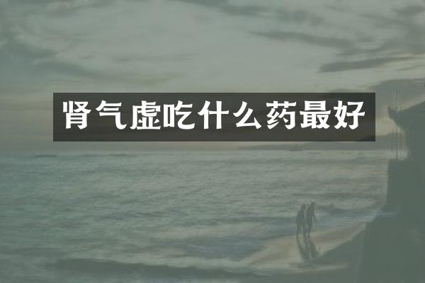 肾气虚吃什么药最好