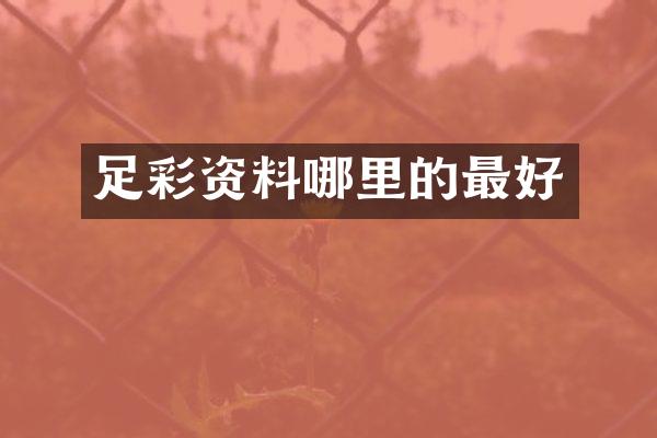 资料哪里的最好