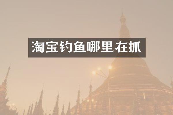 淘宝钓鱼哪里在抓