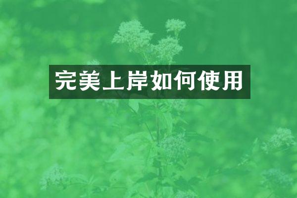 完美上岸如何使用