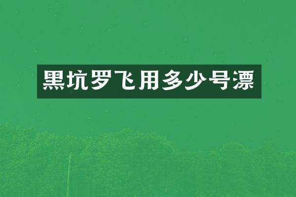 黑坑罗飞用多少号漂