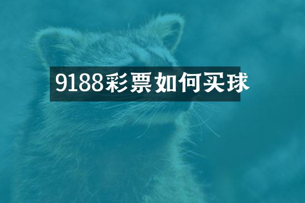 9188彩票如何买球
