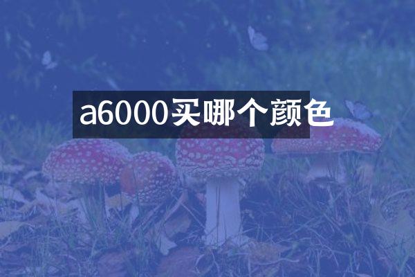 a6000买哪个颜色
