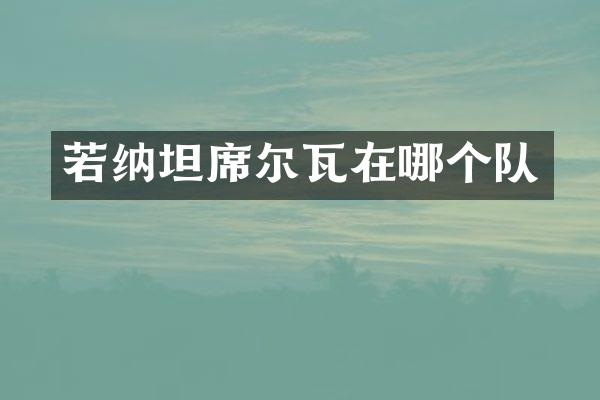 若纳坦席尔瓦在哪个队