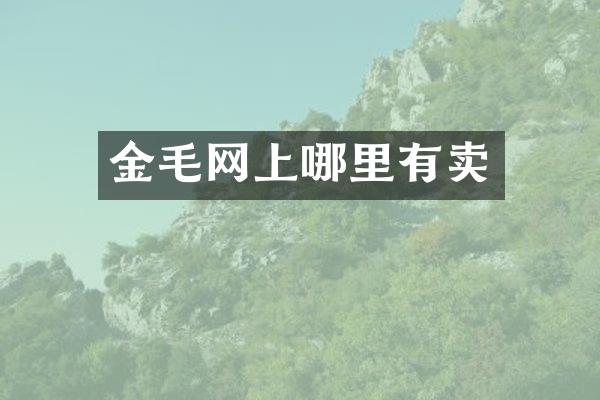金毛网上哪里有卖