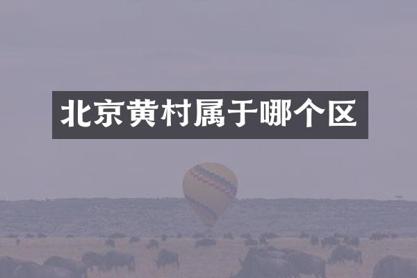 北京黄村属于哪个区