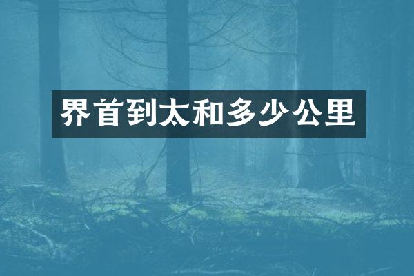 界首到太和多少公里