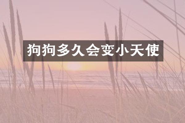 狗狗多久会变小天使