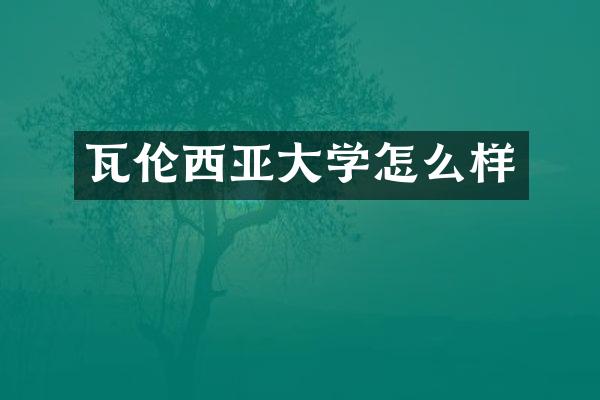 瓦伦西亚大学怎么样