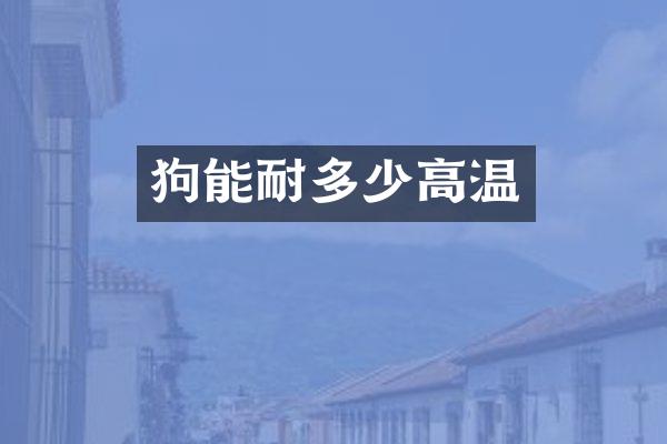 狗能耐多少高温