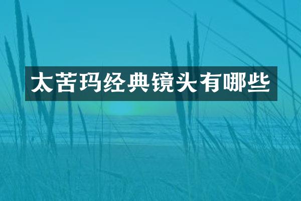 太苦玛经典镜头有哪些