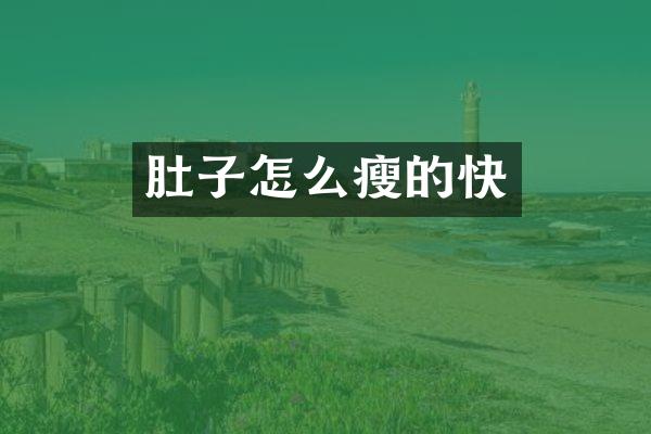 肚子怎么瘦的快