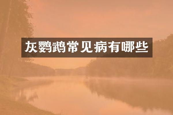 灰鹦鹉常见病有哪些