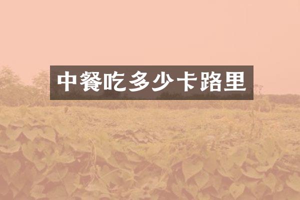 中餐吃多少卡路里