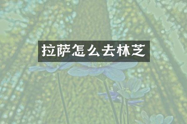 拉萨怎么去林芝