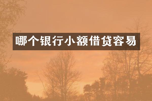 哪个银行小额借贷容易