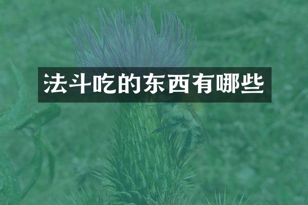 法斗吃的东西有哪些