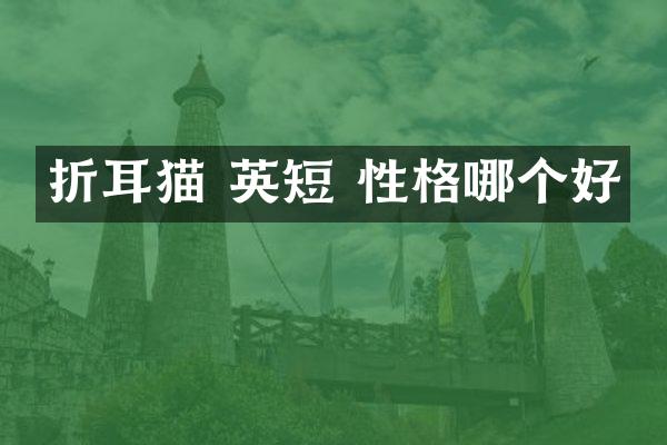 折耳猫 英短 性格哪个好