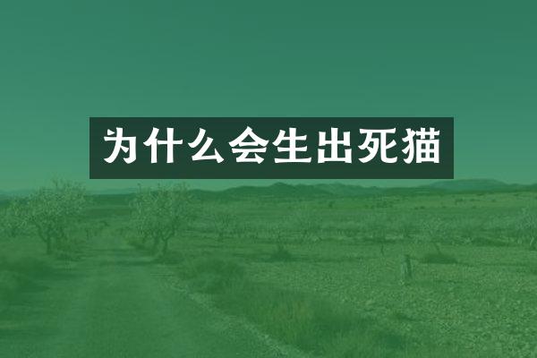 为什么会生出死猫