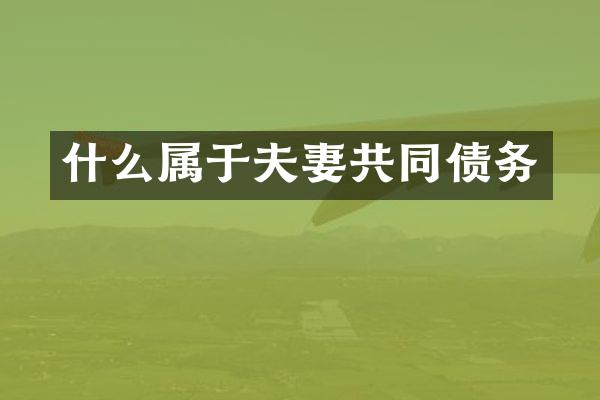 什么属于夫妻共同债务