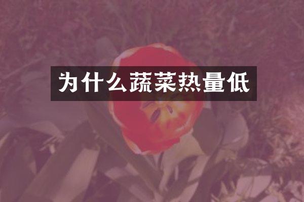 为什么蔬菜热量低