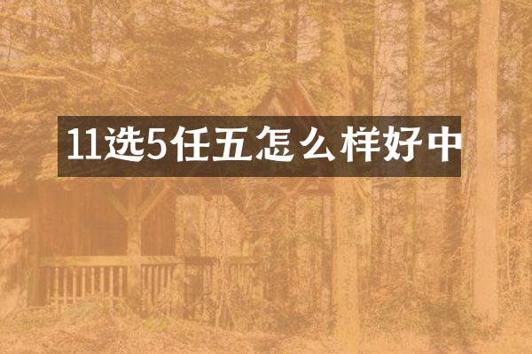 11选5任五怎么样好中