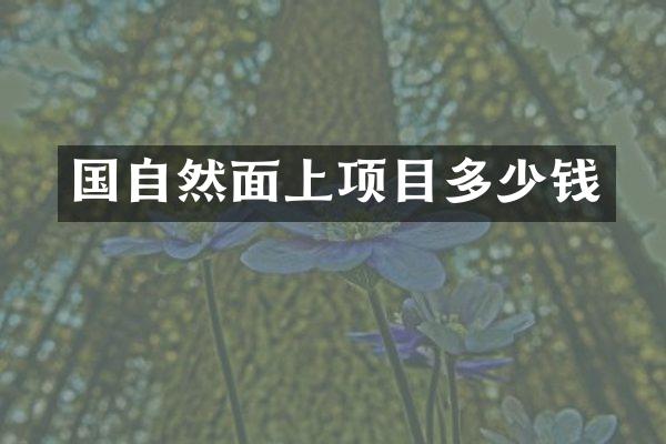 国自然面上项目多少钱
