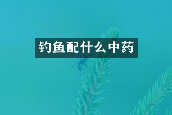 钓鱼配什么中药