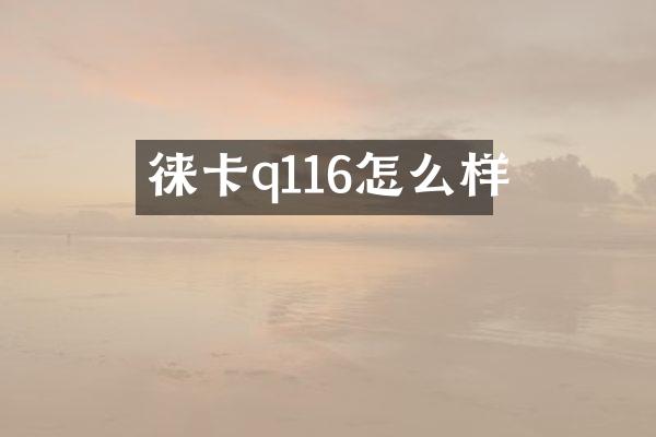 徕卡q116怎么样