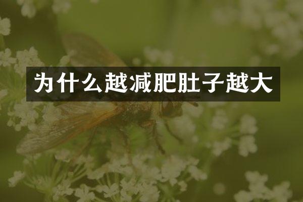 为什么越减肥肚子越大