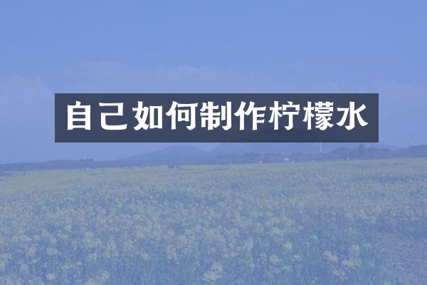 自己如何制作柠檬水