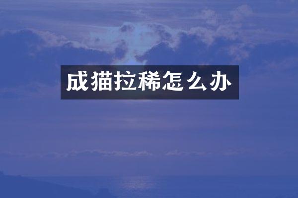 成猫拉稀怎么办