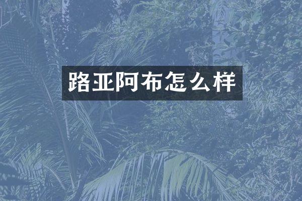 路亚阿布怎么样
