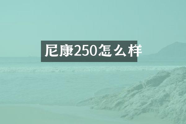 尼康250怎么样