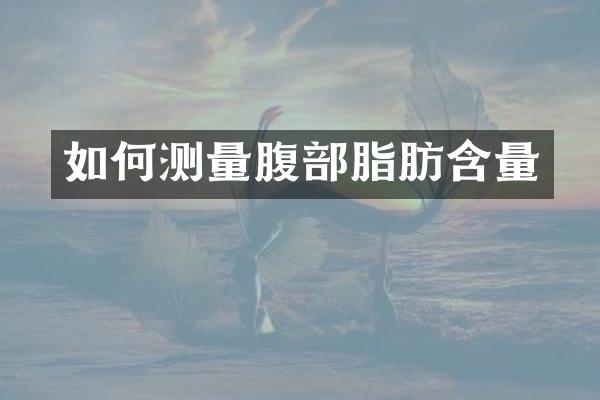 如何测量腹部脂肪含量