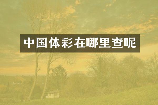 中国体彩在哪里查呢