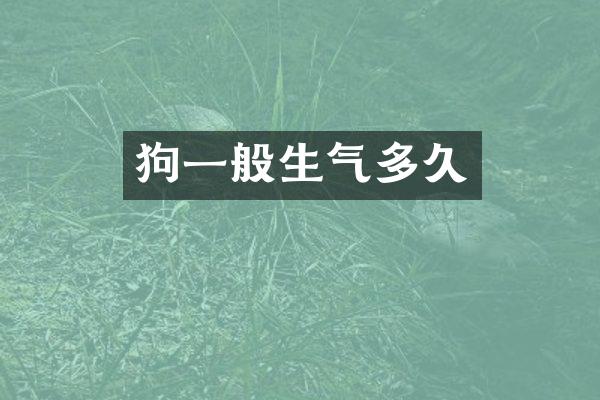 狗一般生气多久