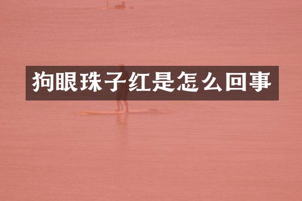 狗眼珠子红是怎么回事