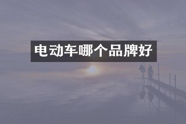电动车哪个品牌好