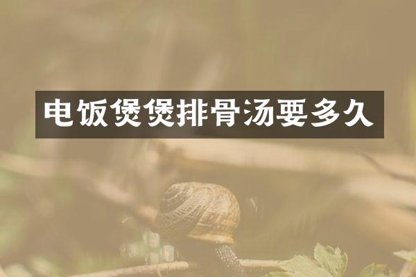 电饭煲煲排骨汤要多久