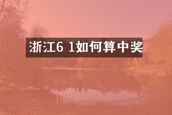 浙江6 1如何算中奖