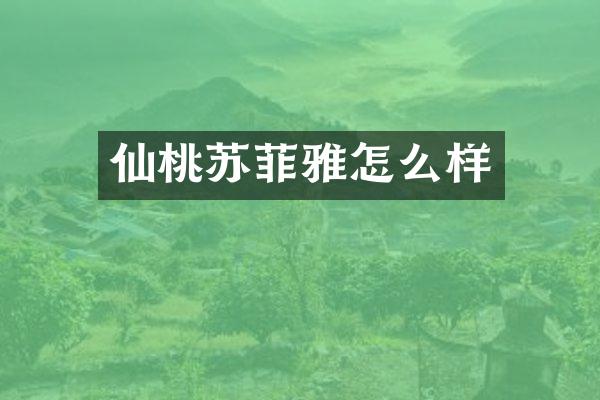 仙桃苏菲雅怎么样