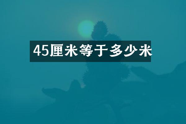 45厘米等于多少米