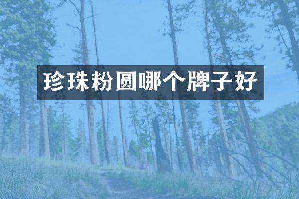珍珠粉圆哪个牌子好