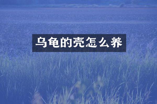 乌龟的壳怎么养