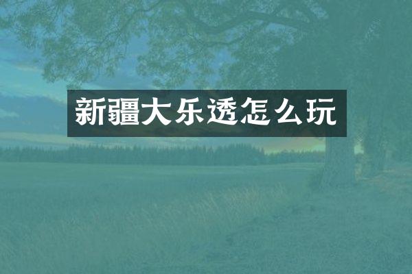 新疆大怎么玩