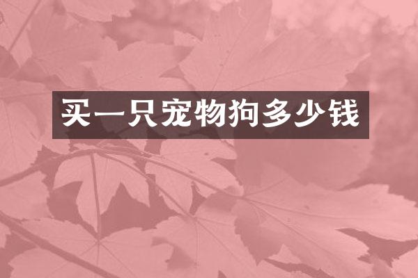 买一只宠物狗多少钱