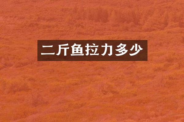 二斤鱼拉力多少
